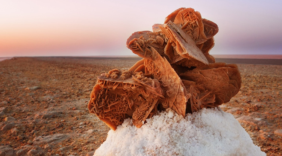 地质和地球科学