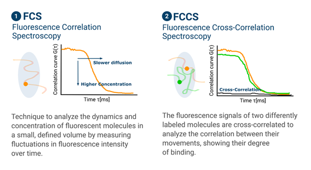 Episode 3: From Stopping Hearts to FCCS: Using Lasers to Study Tissue ...