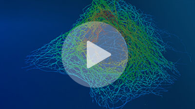 Dye Selection and Labeling Strategies for Super-Resolution Microscopy Webinar