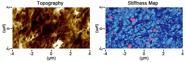 nanoIR - 碳粉粒子的过渡温度