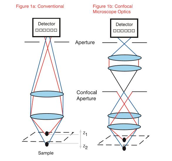 传统光学显微镜和共聚焦光学显微镜的区别。