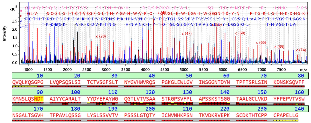 Middle-down分析可以对Cetuximab Fd亚单元实现序列全覆盖