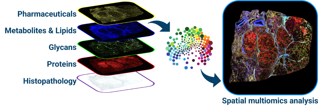 Multiomics figure