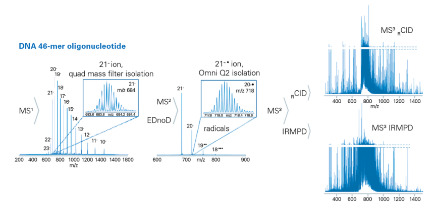 characterization-of-oligonucleotides.png