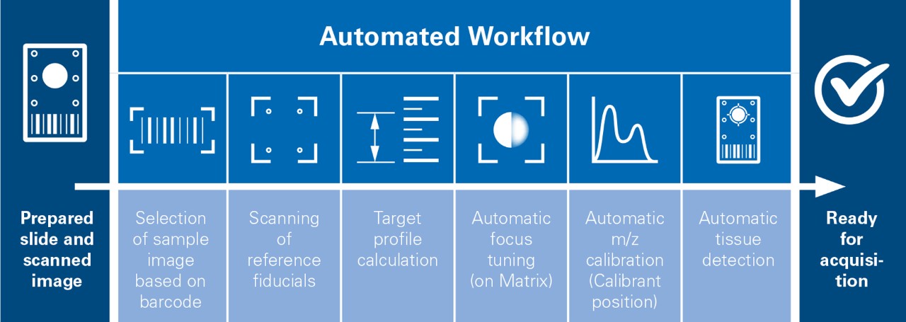 SCiLS™ autopilot workflow