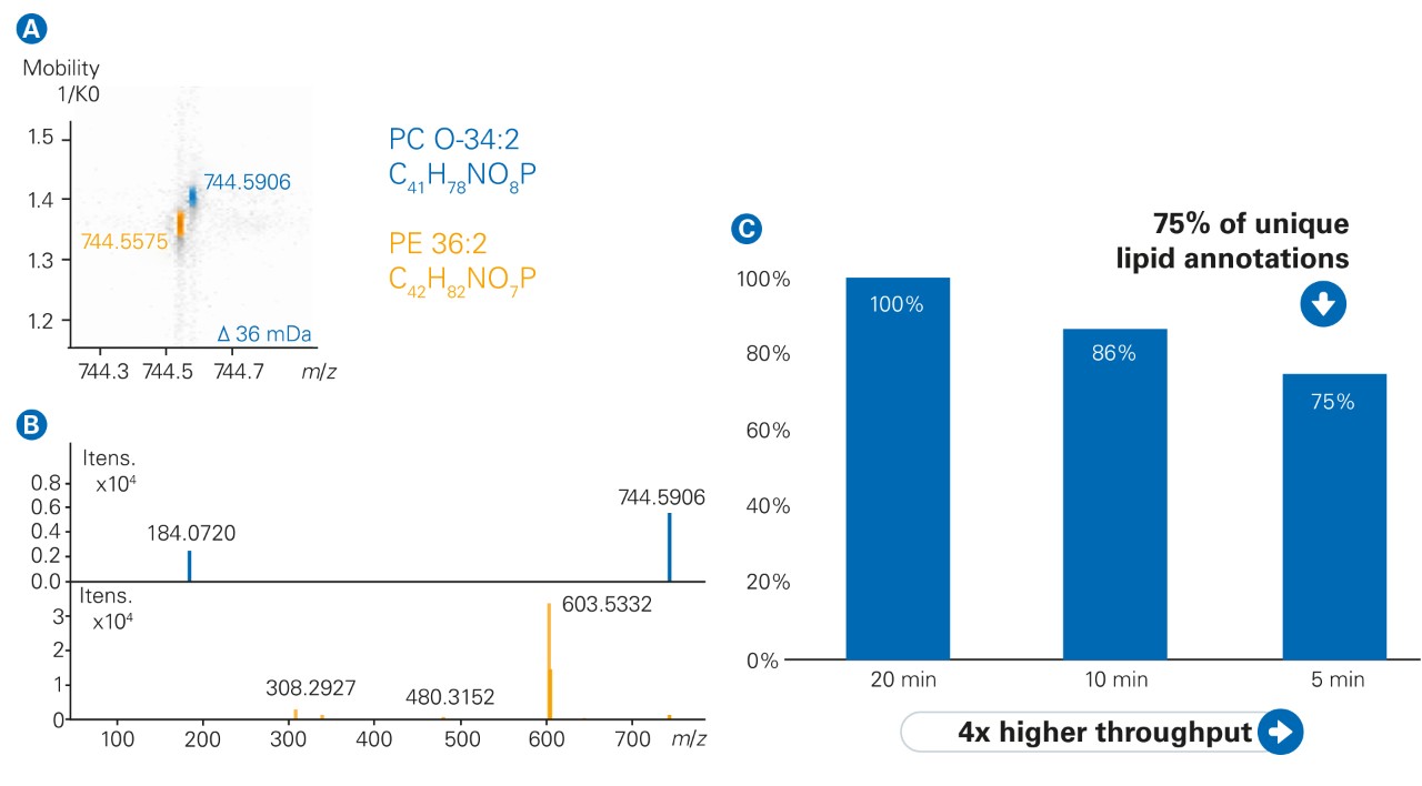 Mobility Offset Mass Aligned (MOMA) data of isobaric lipids