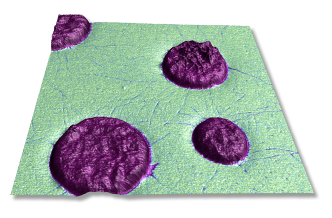 聚甲基丙烯酸甲酯（青色）基质中的间规聚丙烯（紫罗兰色）区域。三维形貌图中的色标表示模量，能清晰地揭示出间规聚丙烯在基质中的渗透。图像尺寸为 8 μm。