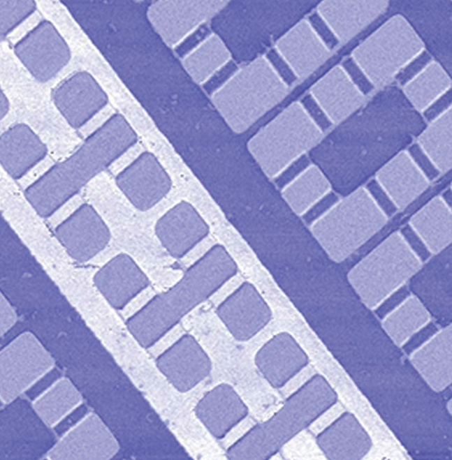 硅基动态随机存取存储器单元的扫描电容显微镜成像结果。dC/dV分布图显示了存储器内部的掺杂子二维分布，揭示了存储器内部的失效位点和包括栅极长度在内关键参数。使用Dark Lift技术能确保掺杂浓度分布的精确性。扫描范围为25 μm，采用闭环扫描。