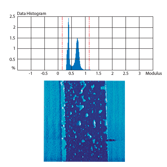 尺寸 FastScan AFM - 峰值力 QNM 成像模式