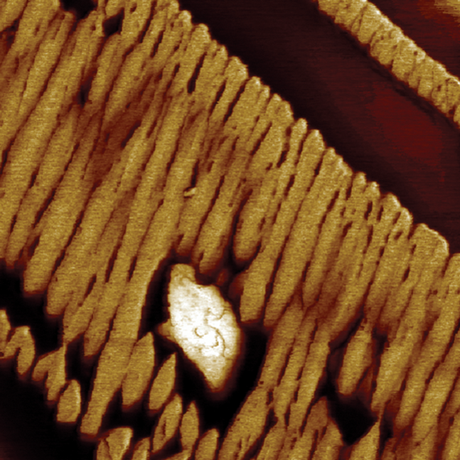 Multimode 8-HR AFM - 使用PF QNM 得到的聚二乙基硅氧烷模量图