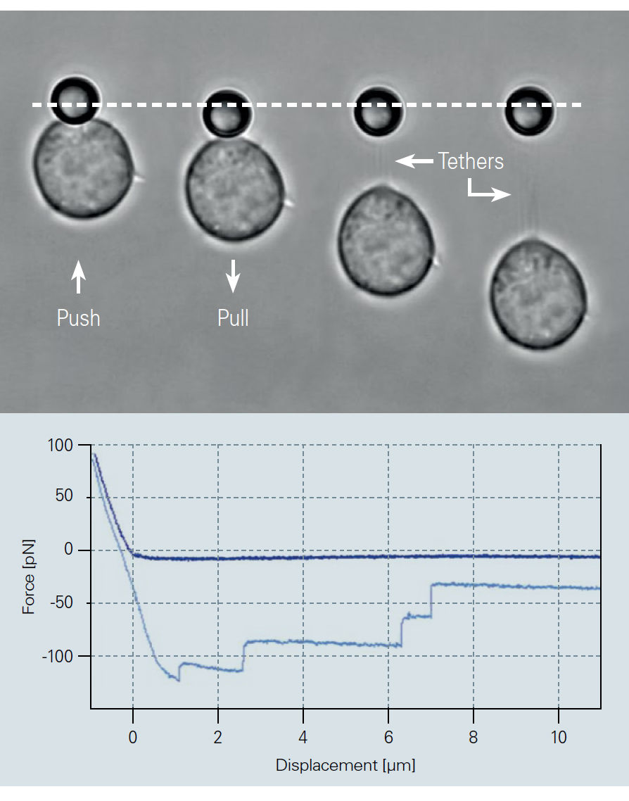JPK NanoTracker 2 | Bruker