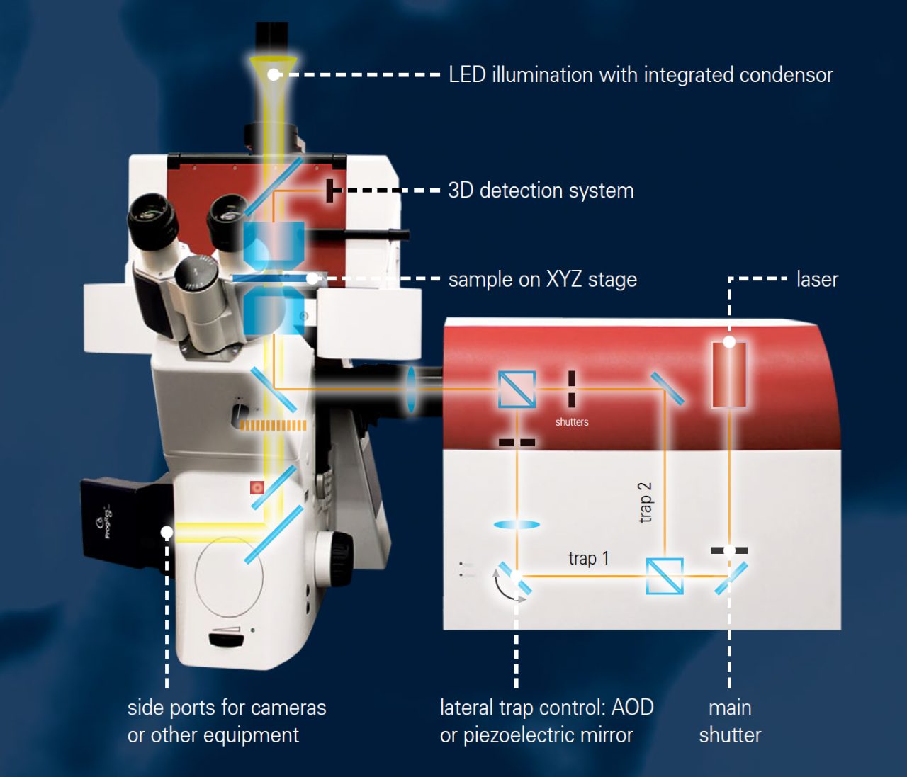 JPK NanoTracker 2 | Bruker