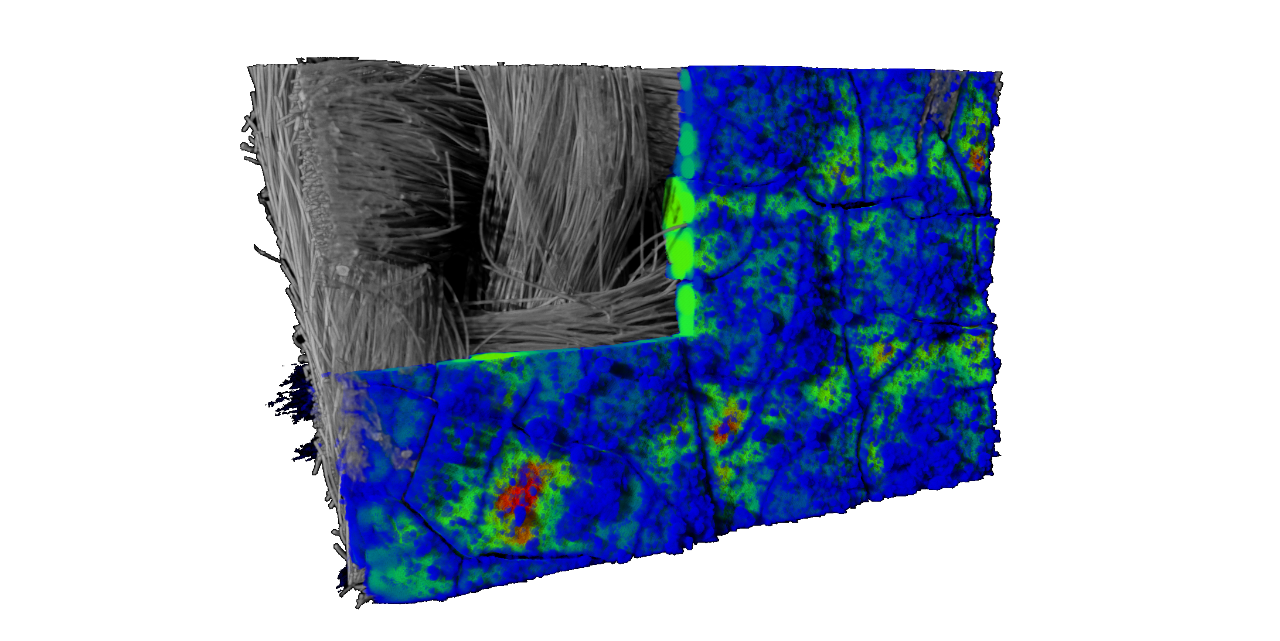 材料科学中的三维 X 射线显微镜